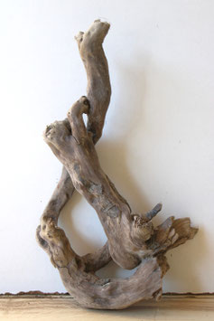 Treibholz Schwemmholz Driftwood 1 Wurzel Dekoration Terrarium  Garten   33  cm (SA928)
