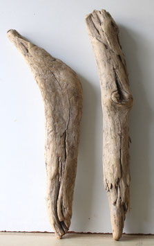 Treibholz Schwemmholz Driftwood 2 XL Hölzer Dekoration Garten Terrarium 53 cm - 57 cm (TR1304)