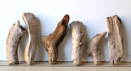 Treibholz Schwemmholz Driftwood  6 Hölzer Dekoration Garten Terrarium 15 cm - 24 cm lang **E192** (TR1036)