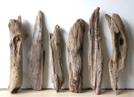 Treibholz Schwemmholz Driftwood  6  Hölzer Dekoration Garten  Terrarium 33 cm-41  cm **E193** (TR949)