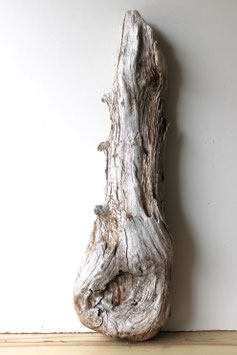Treibholz Schwemmholz Driftwood 1 knorrige XXL Skulptur Dekoration Terrarium  88 cm (XXL300)