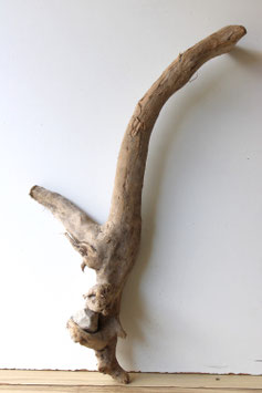 Treibholz Schwemmholz Driftwood  1 XL Wurzel mit eingewachsenem Stein Dekoration Garten 83 cm (W682)