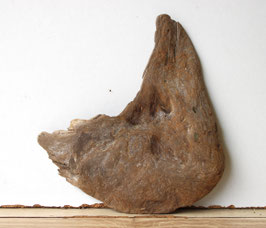 Treibholz Schwemmholz Driftwood 1 flache Skulptur  Dekoration Garten Terrarium 18  cm hoch (SA813)