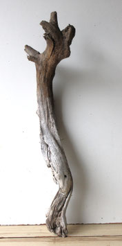 Treibholz Schwemmholz Driftwood  1 XL Wurzel  Dekoration Garten Terrarium 69 cm  (W719)