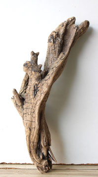 Treibholz Schwemmholz Driftwood  1 kleine  Wurzel 33 cm  (W652)
