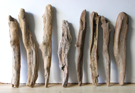 Treibholz Schwemmholz Driftwood  8 XL Hölzer Dekoration Garten Terrarium 40 cm - 49 cm  **E61** (TR1314)