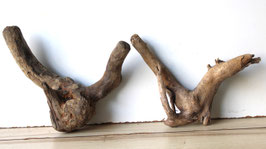 Treibholz Schwemmholz Driftwood  2  Hölzer Dekoration Garten Terrarium 22-25 cm  hoch**8** (TR1214)