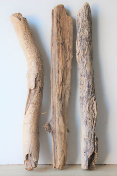 Treibholz Schwemmholz Driftwood  3 XXL  Hölzer  75-81  cm lang (TR674)