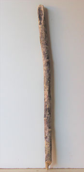 Treibholz Schwemmholz Driftwood  1 XL Ast   (Ä1161)