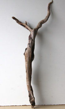 Treibholz Schwemmholz Driftwood  1  Wurzel  Terrarium Garten Dekoration Terrarium  69 cm  (SA880)