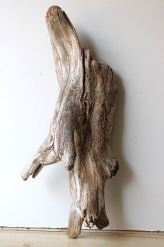 Treibholz Schwemmholz Driftwood  1 knorrige XXL Skulptur Dekoration Garten 82 cm (XXL323)