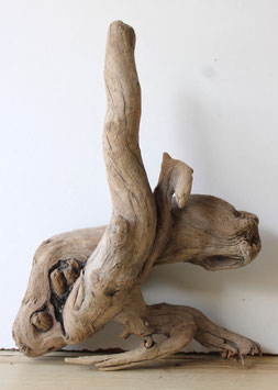 Treibholz Schwemmholz Driftwood 1 knorrige  Wurzel  Dekoration Garten Terrarium 35 cm hoch  (W740)