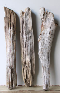 Treibholz Schwemmholz Driftwood  3 Xl Hölzer Dekoration Garten Terrarium 55 cm - 56 cm lang (TR1198)