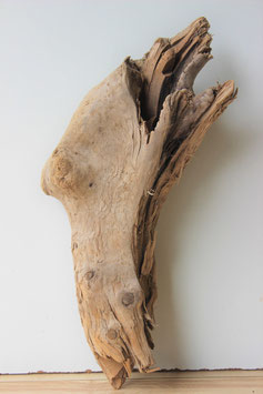 Treibholz Schwemmholz Driftwood  1    Skulptur  40  cm  (S305)