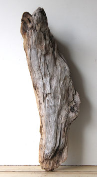 Treibholz Schwemmholz Driftwood  1 XXL Skulptur  Terrarium Garten Dekoration 83 cm  (XXL330)