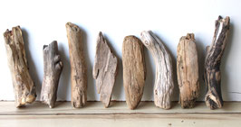 Treibholz Schwemmholz Driftwood  8  Hölzer Dekoration Garten Terrarium 22-27 cm **95** (TR1213)