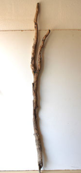 Treibholz Schwemmholz Driftwood  1 MEGA Ast Dekoration Garten  Terrarium  180 cm  (Ä1622)
