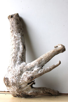 Treibholz Schwemmholz Driftwood  1 Wurzel Dekoration Garten Terrarium 40 cm (W646)