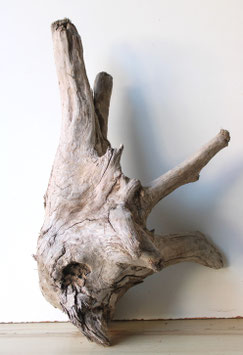 Treibholz Schwemmholz Driftwood 1 knorrige XL Wurzel Garten Terrarium 61  cm lang   (W671)