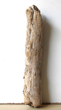 Treibholz Schwemmholz Driftwood  1 Stamm   Garten Terrarium Dekoration  51 cm (SA786)
