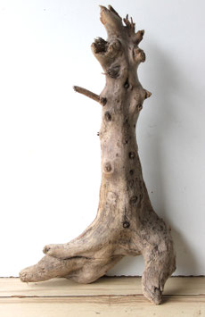 Treibholz Schwemmholz Driftwood  1   Wurzel  Dekoration Garten Terrarium  56 cm  hoch (W694)