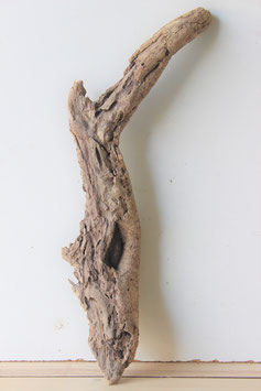 Treibholz Schwemmholz Driftwood  1  Wurzel  49 cm  (W410)