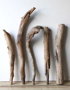 Treibholz Schwemmholz Driftwood  5 XL Hölzer Dekoration Garten Terrarium 36-40 cm **E17** (TR1220)