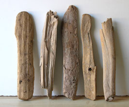 Treibholz Schwemmholz Driftwood  5 Hölzer  Dekoration Garten Terrarium  41 cm - 48 cm  **E60** (TR1295)