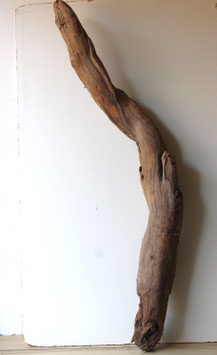 Treibholz Schwemmholz Driftwood  1 MEGA Skulptur Dekoration Garten 145 cm (XXL320)