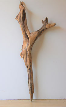 Treibholz Schwemmholz Driftwood  1 XXL Wurzel  91 cm hoch (W446)