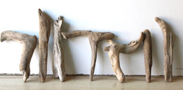 Treibholz Schwemmholz Driftwood  7 Hölzer  Dekoration Garten Terrarium  20 cm - 28 cm  **E34** (TR1296)