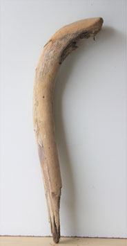Treibholz Schwemmholz Driftwood  1 XL  Stamm 85 cm (ST411)