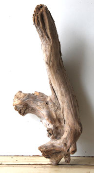 Treibholz Schwemmholz Driftwood  1 knorrige XL  Wurzel 60  cm hoch (W661)