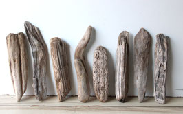 Treibholz Schwemmholz Driftwood 8  Hölzer Garten Terrarium Dekoration Garten 23-33 cm **E189** (TR1230)