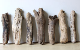 Treibholz Schwemmholz Driftwood 7 Hölzer Dekoration Garten Terrarium 22 cm-28 cm **191** (TR1091)
