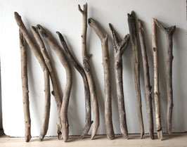 Treibholz Schwemmholz Driftwood 12 XL  Äste   Dekoration Garten Garderobe 56 cm - 70  cm (Ä1710)