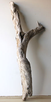 Treibholz Schwemmholz Driftwood 1  MEGA Skulptur  Dekoration Garten Terrarium 122  cm (XXL313)