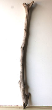 Treibholz Schwemmholz Driftwood 1 XXL Ast Dekoration Garderobe Terrarium 111 cm (SA830)