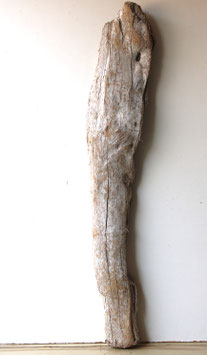 Treibholz Schwemmholz Driftwood  1 MEGA Skulptur Dekoration Garten 123 cm (XXL325)