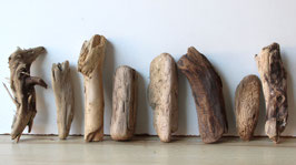 Treibholz Schwemmholz Driftwood 8 kleine Hölzer Dekoration Garten Terrarium 11-20 cm  (W845)