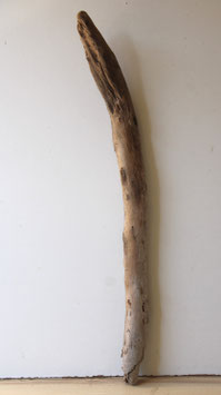 Treibholz Schwemmholz Driftwood 1 XL Ast Dekoration Garderobe Terrarium 89 cm (SA915)