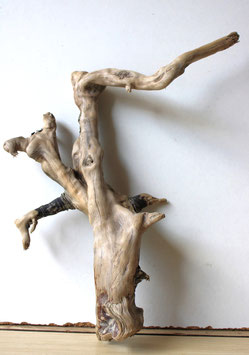 Treibholz Schwemmholz Driftwood  1 Wurzel  Garten Terrarium Dekoration  28 cm hoch  (SA783)