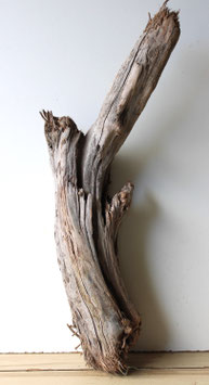 Treibholz Schwemmholz Driftwood  1  XL Wurzel  Dekoration Garten Terrarium  73 cm (W690)