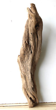 Treibholz Schwemmholz Driftwood  1 knorrige XL  Wurzel 66 cm (W657)
