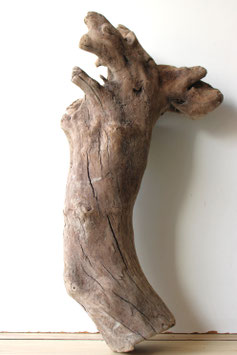 Treibholz Schwemmholz Driftwood  1 XXL  Wurzel Dekoration Terrarium Garten  72 cm  (W630)