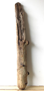 Treibholz Schwemmholz Driftwood  1 XXL  Stamm Dekoration Garten Terrarium 114 cm (ST520)