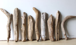 Treibholz Schwemmholz Driftwood 9 Hölzer Dekoration Garten Terrarium 26 cm-34 cm **69** (TR1093)