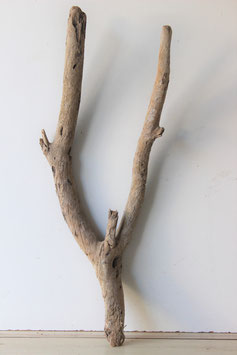 Treibholz Schwemmholz Driftwood  1  XXL Wurzel   92 cm lang   (W402)