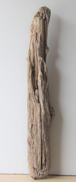 Treibholz Schwemmholz Driftwood  1  XXL Stamm   110 cm (ST406)