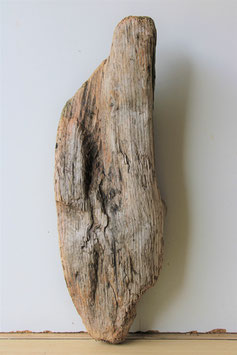 Treibholz Schwemmholz Driftwood  1 Skulptur  47  cm lang    (S326)